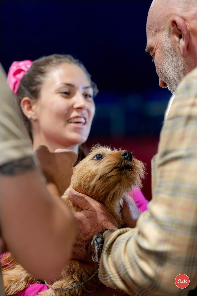 Expo canine 🇲🇨 Monaco 9-10/05/2026. Photographe à Strasbourg | Les animaux, Portraits, Studio, Événements