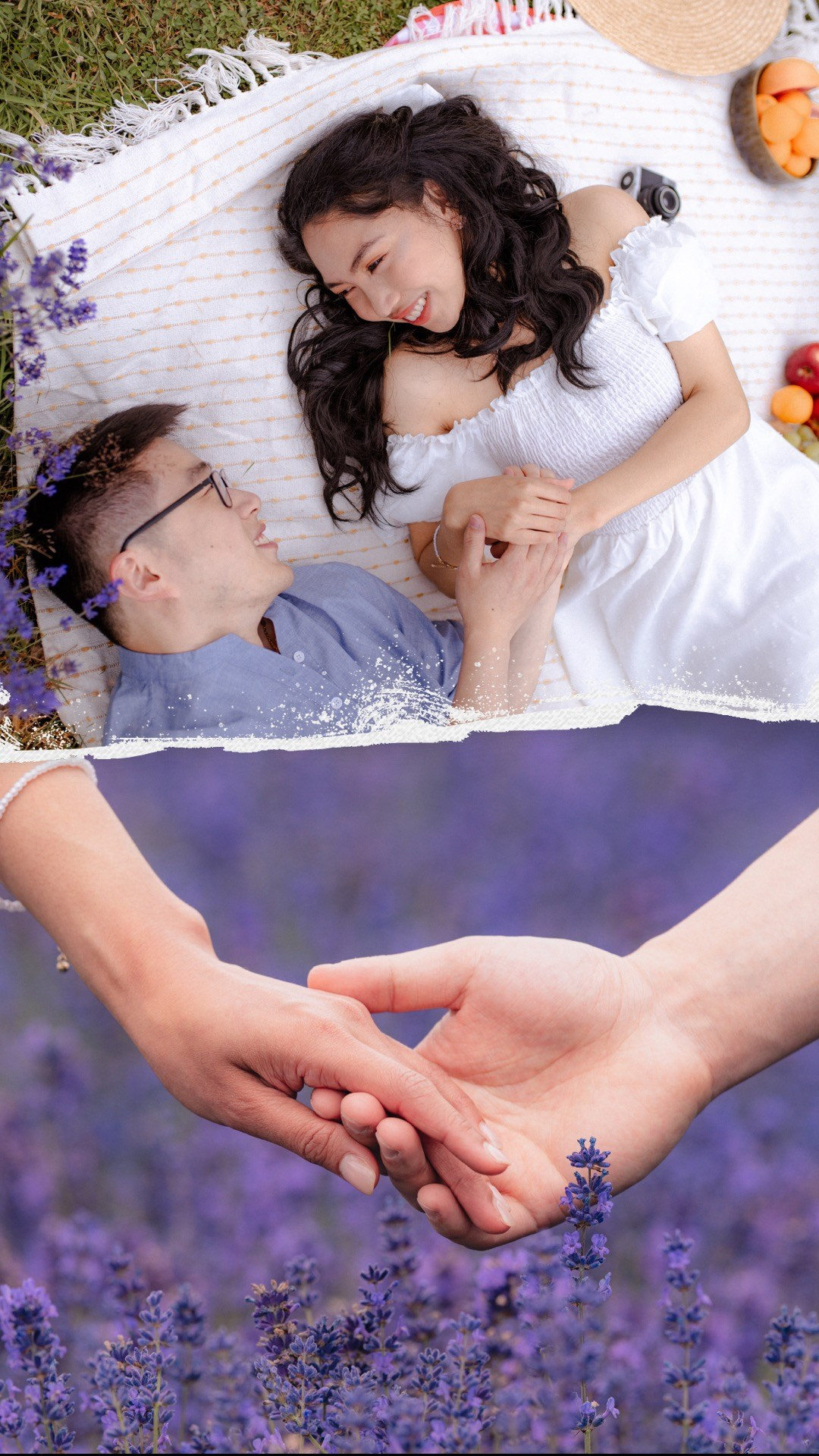 A & M Lavender farm. Tania Gandrabur, photographer in West Midlands, England