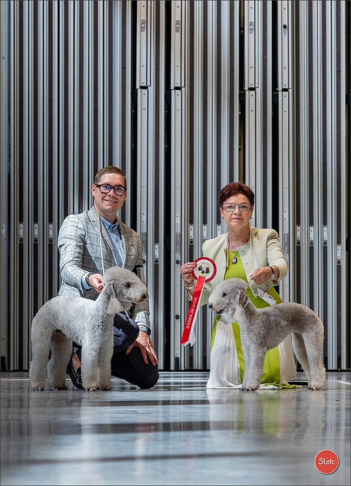 Photographie animalière. Photographe à Strasbourg | Portraits, Studio, Enfants, Événements