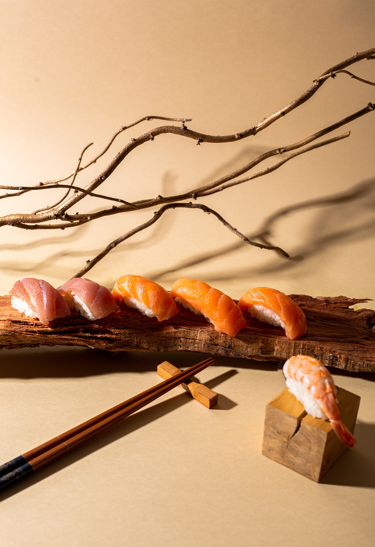 Sushi. Fotógrafo de Gastronomia e Produtos — SJC, todo Brasil