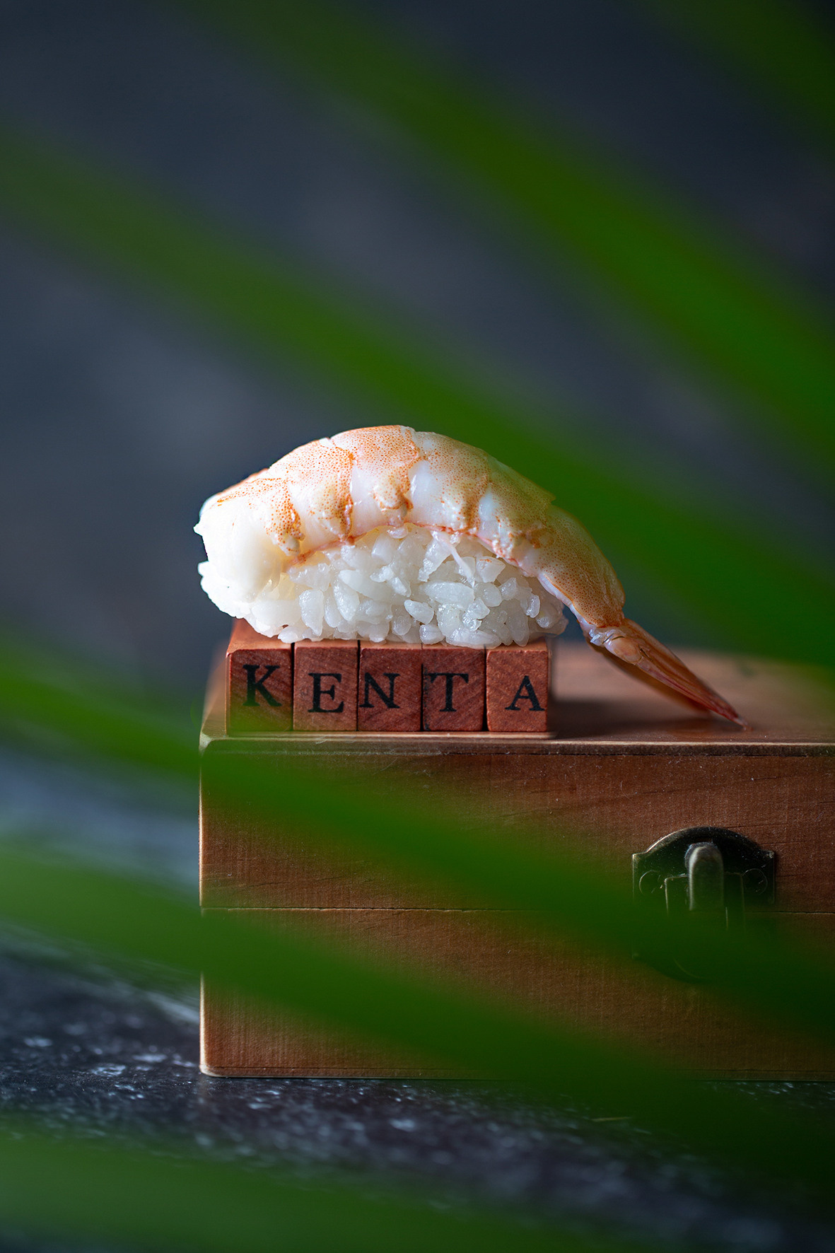 Sushi. Fotógrafo de Gastronomia e Produtos — SJC, todo Brasil