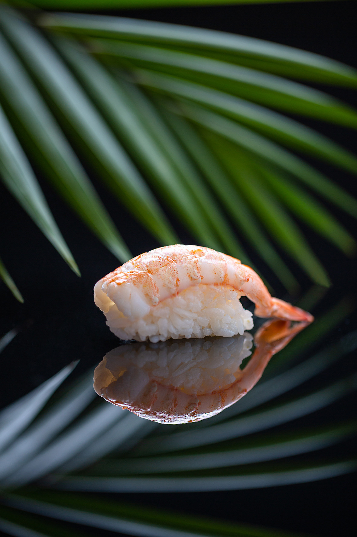 Sushi. Fotógrafo de Gastronomia e Produtos — SJC, todo Brasil
