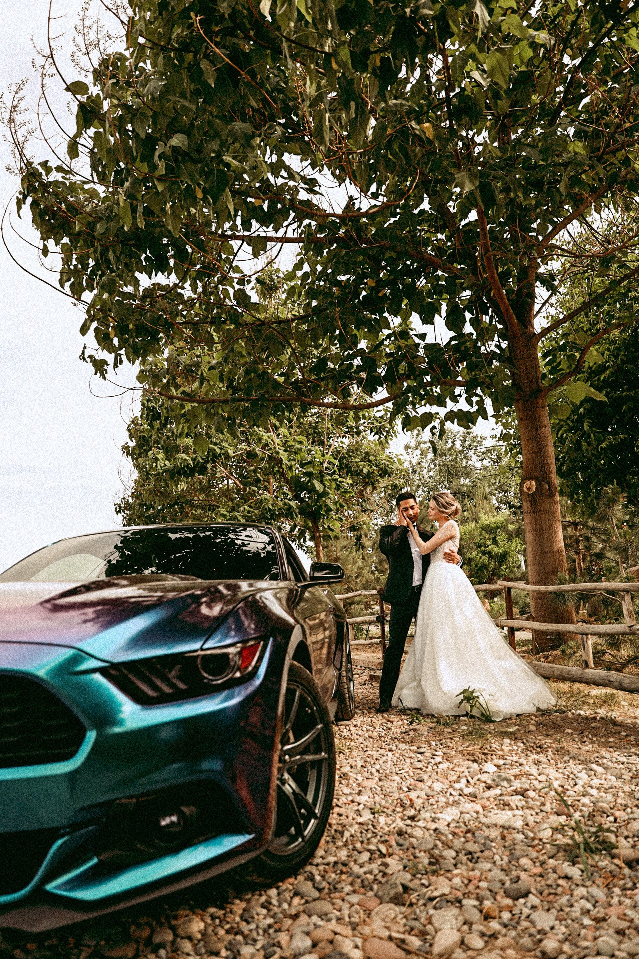 Свадьбы. Фотограф Вероника Яцына в Ташкенте