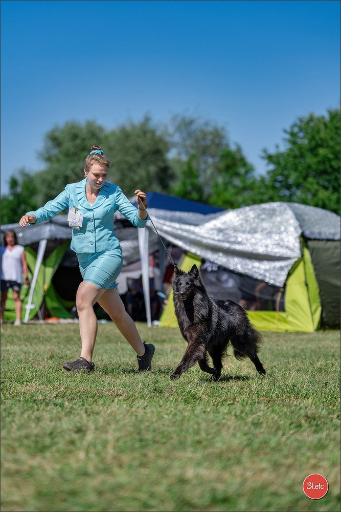 Dog Show - Hallbergmoos 🇩🇪 11-12/07/2026