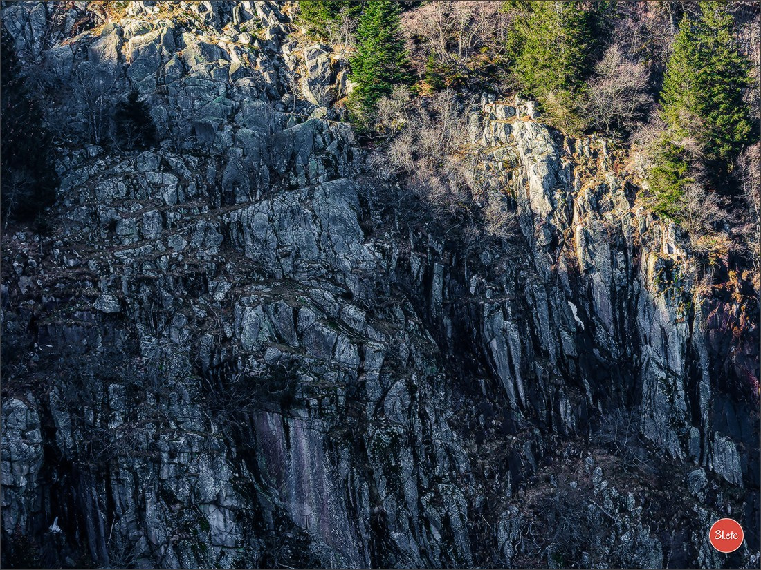 Balade dans les Vosges. Photographe à Strasbourg | Portraits, Studio, Enfants, Événements