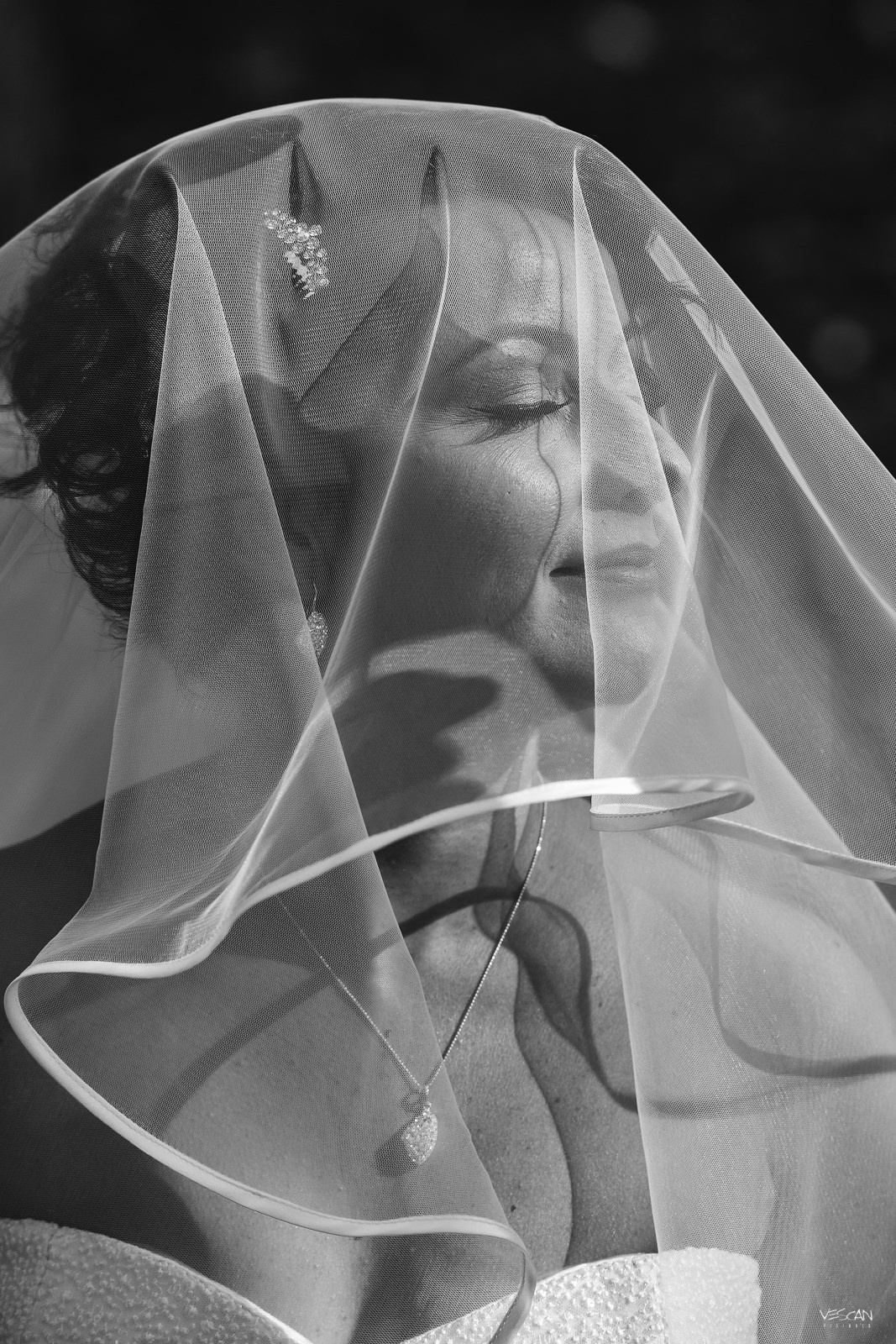 Nunta. Vescan Pictures - fotografie de eveniment