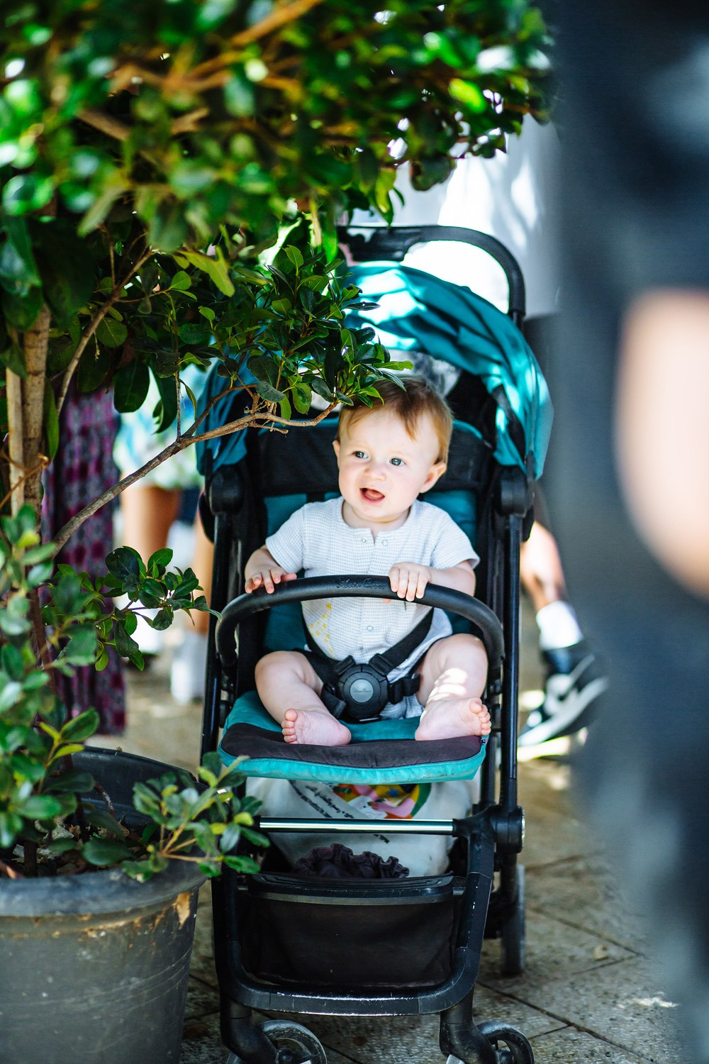 Wedding Israel. Family photographer in Israel