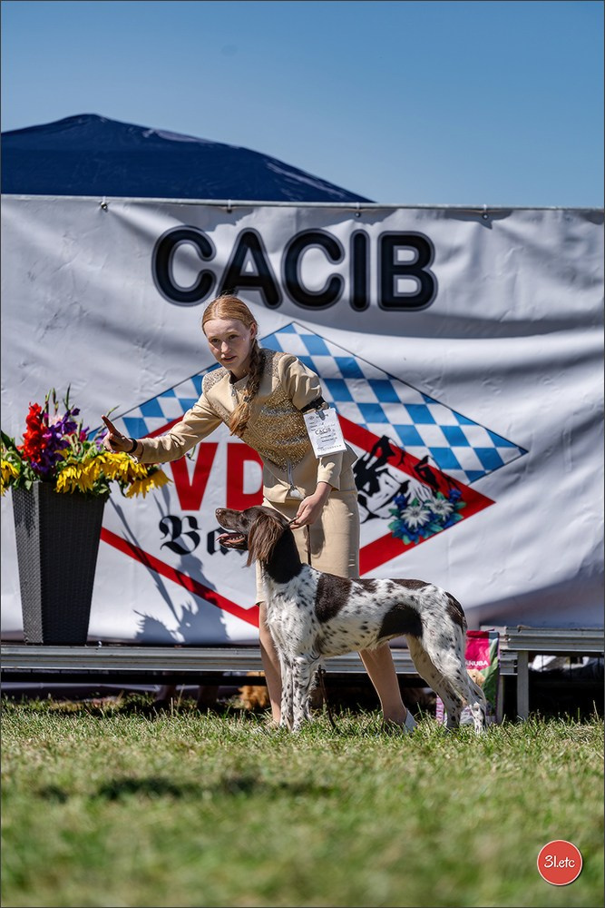 Dog Show - Hallbergmoos 🇩🇪 11-12/07/2026
