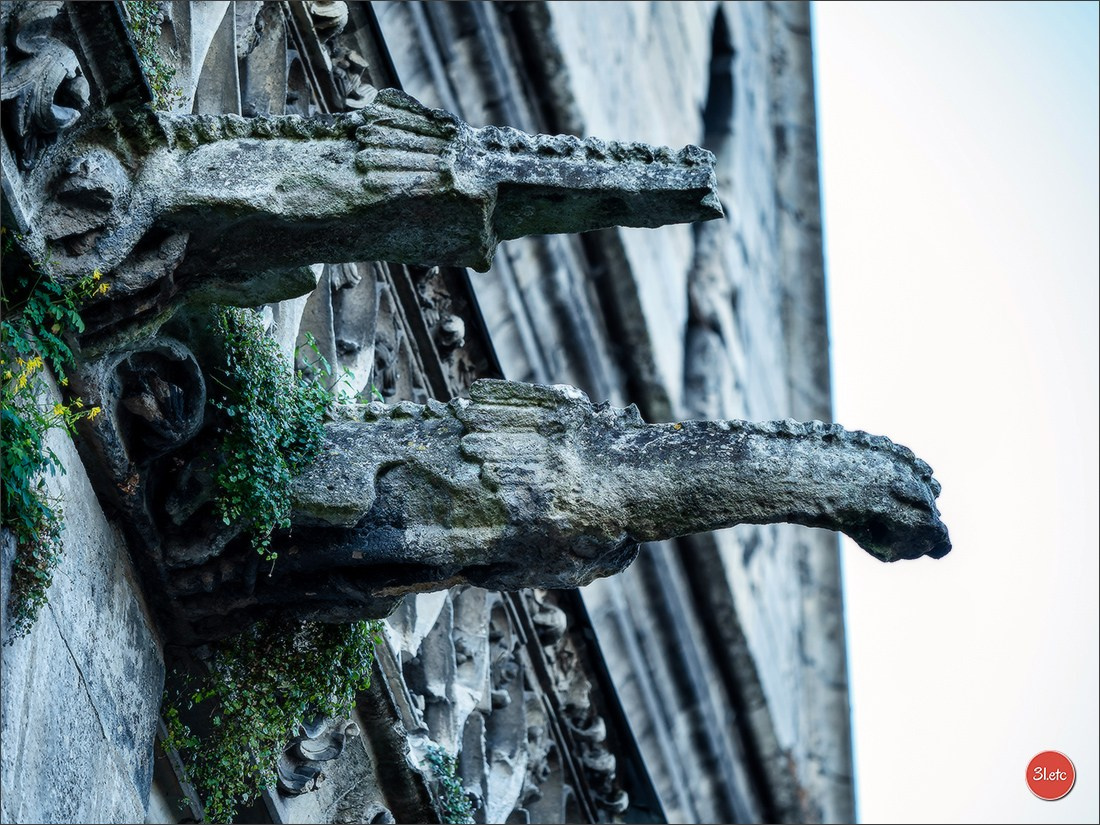 Margny-lès-Compiègne. Photographe à Strasbourg | Portraits, Studio, Enfants, Événements