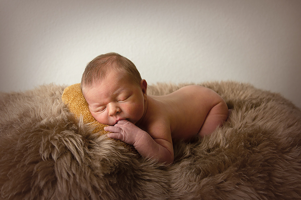 Weltenbummler, Wanerer, auf dem Bauch