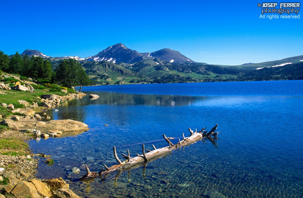 Estany de la Bollosa, Capcir