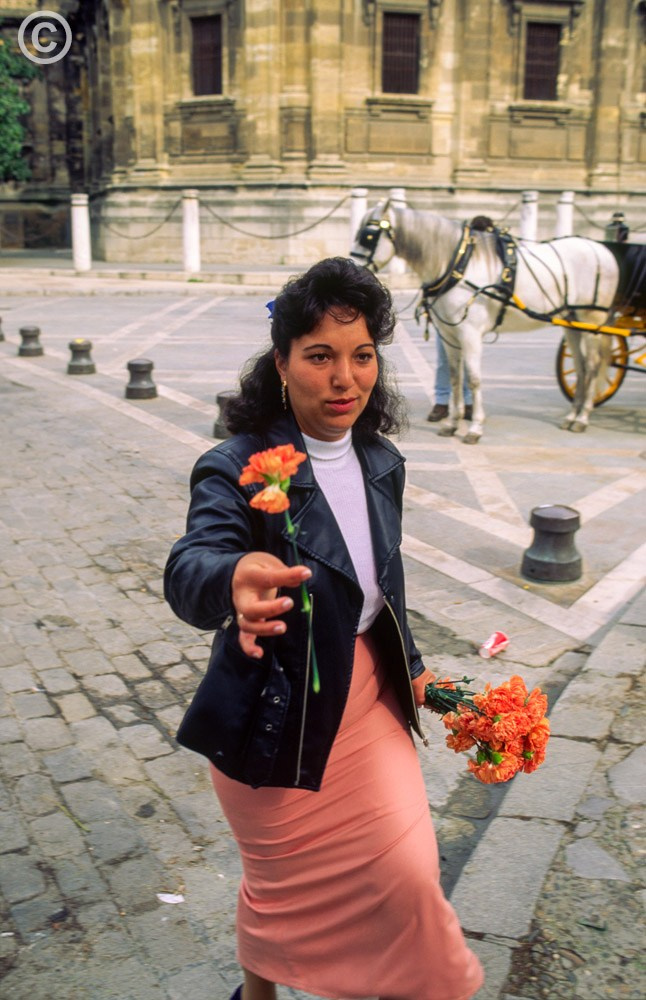 Girl offering flowers, Sevilla, Andalucia