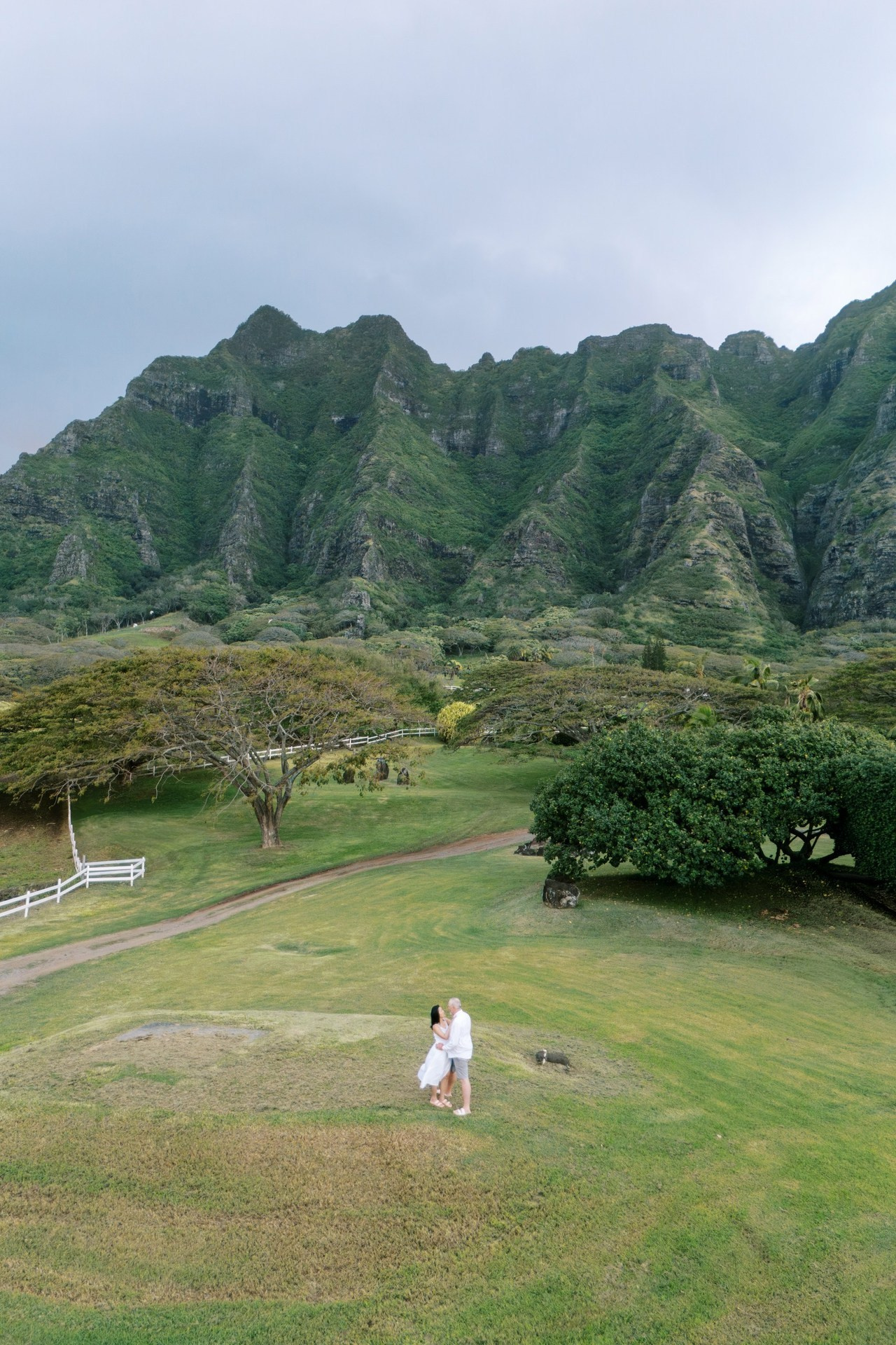 Reviews. IVAN ARISTOV WEDDING PHOTOGRAPHY — Oahu Wedding Photographer