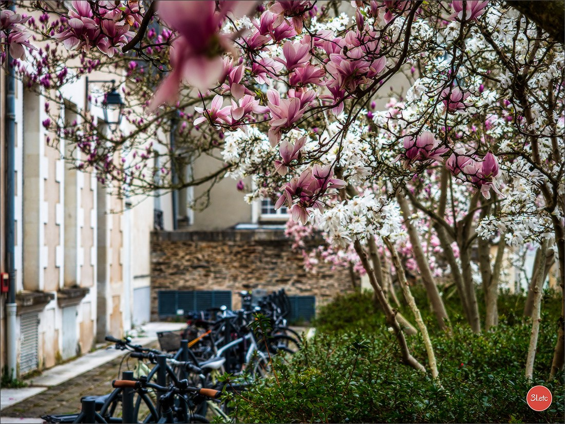 Angers. Photographe à Strasbourg | Portraits, Studio, Enfants, Événements