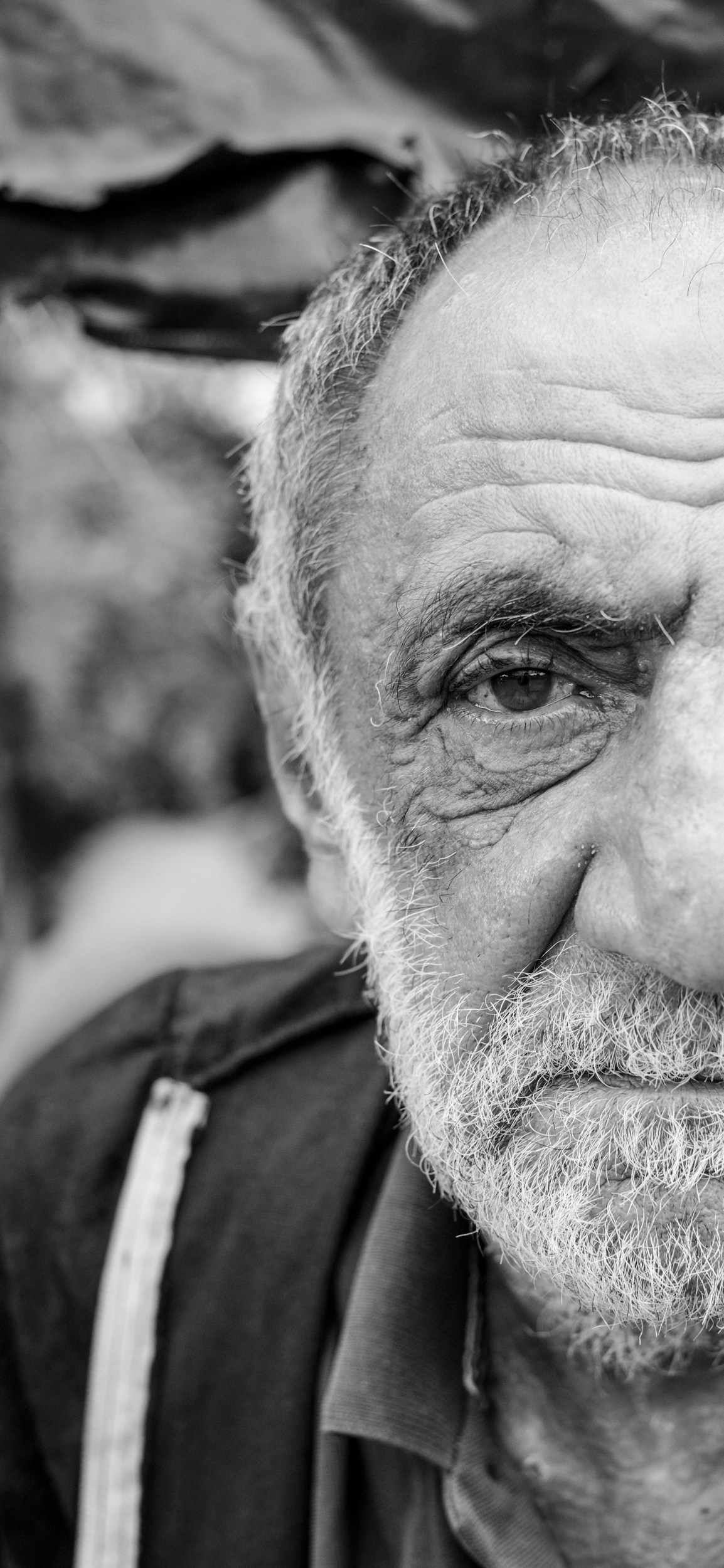 EARTH & SONG Vardablur, 2025. Areg Balayan — Photographer/Visual Artist