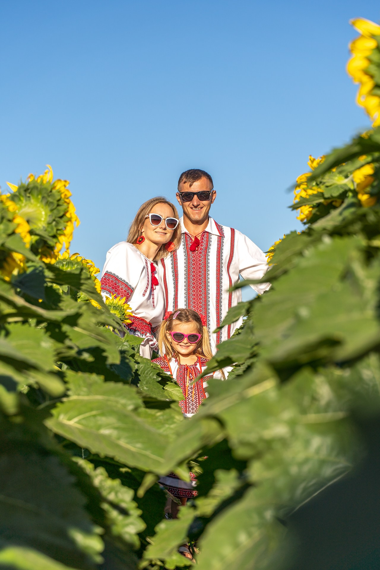 Sunflowers. ARTIGO Igor Rudyi Art Photography