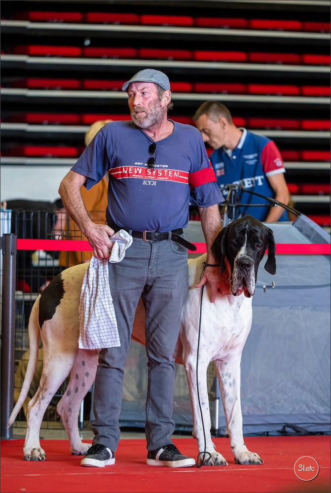 Exposition Canine à  Margny-lès-Compiègne 14-15/09/2024. Photographe à Strasbourg | Portraits, Studio, Enfants, Événements