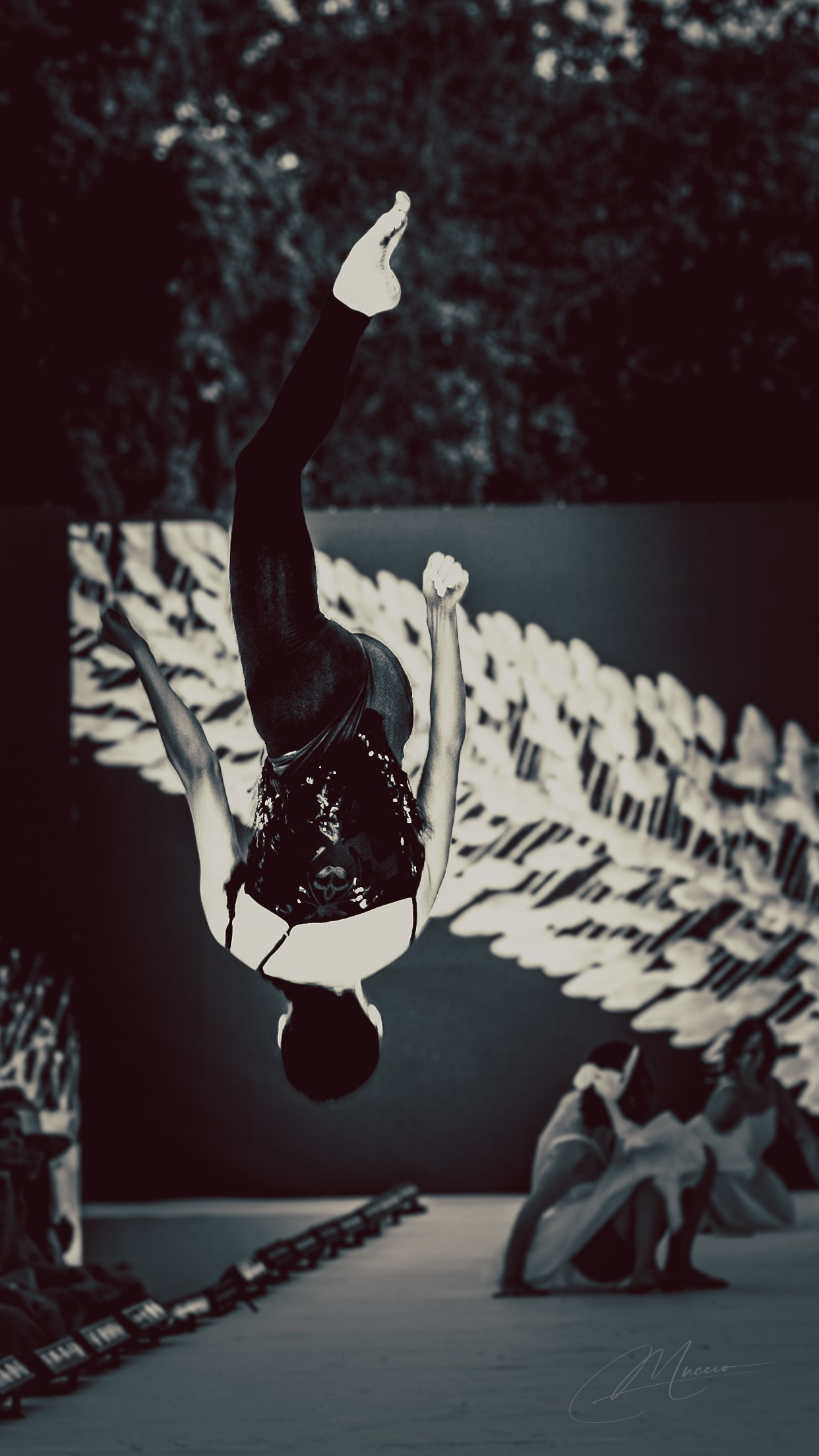 Black and White. Out and About 239