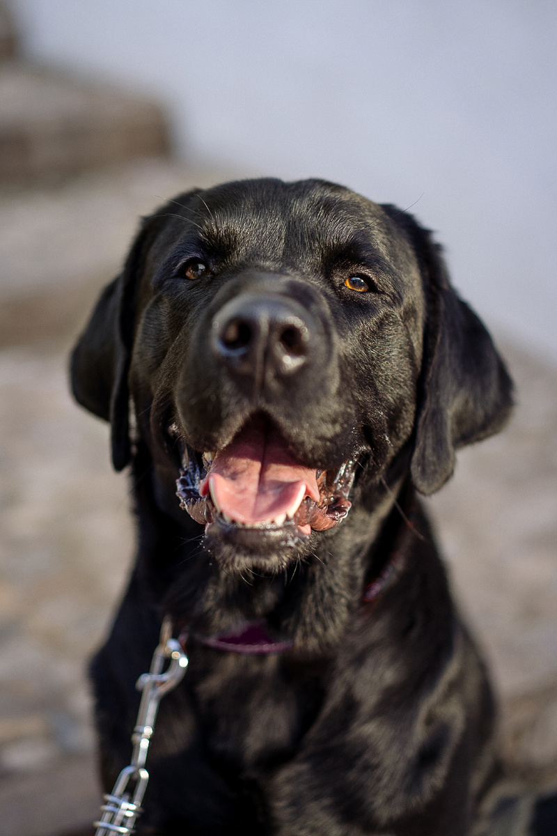 фотограф в бенидорме, алтее