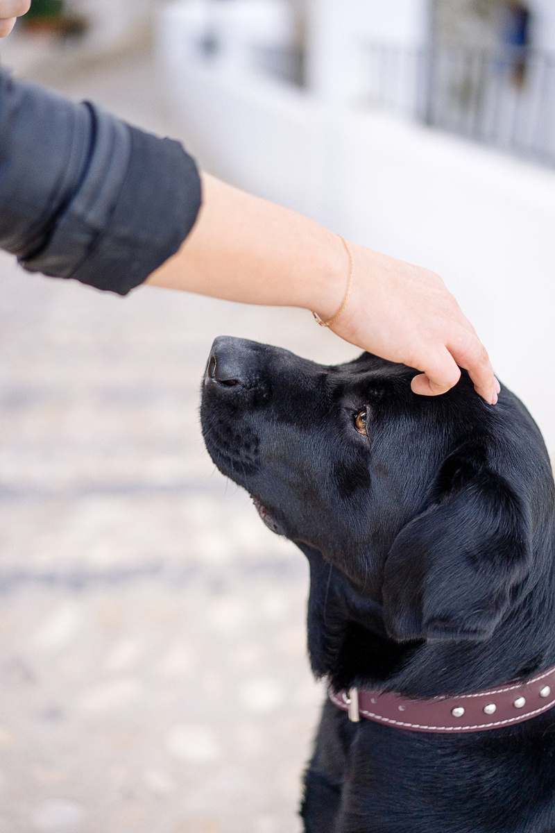 фотограф в бенидорме, алтее