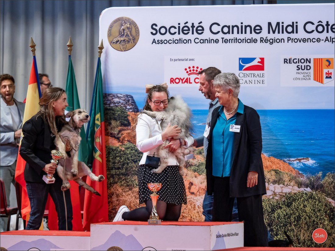 Expo canine 🇫🇷 Martigues  19-20/04/2025. Photographe à Strasbourg | Portraits, Studio, Enfants, Événements
