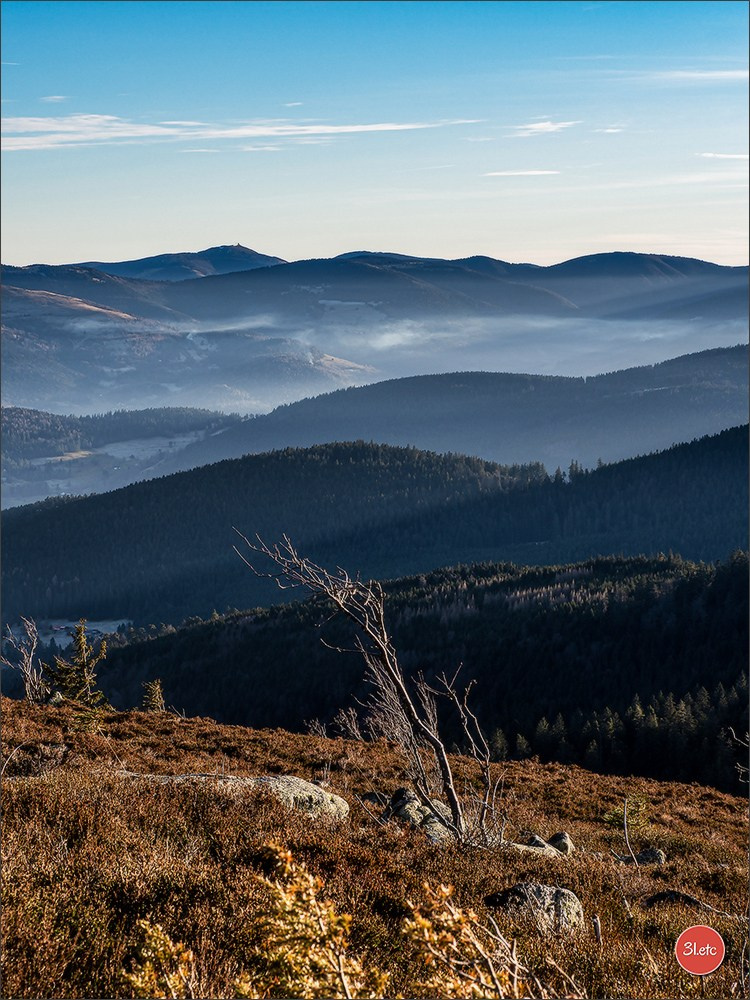 Balade dans les Vosges. Photographe à Strasbourg | Portraits, Studio, Enfants, Événements