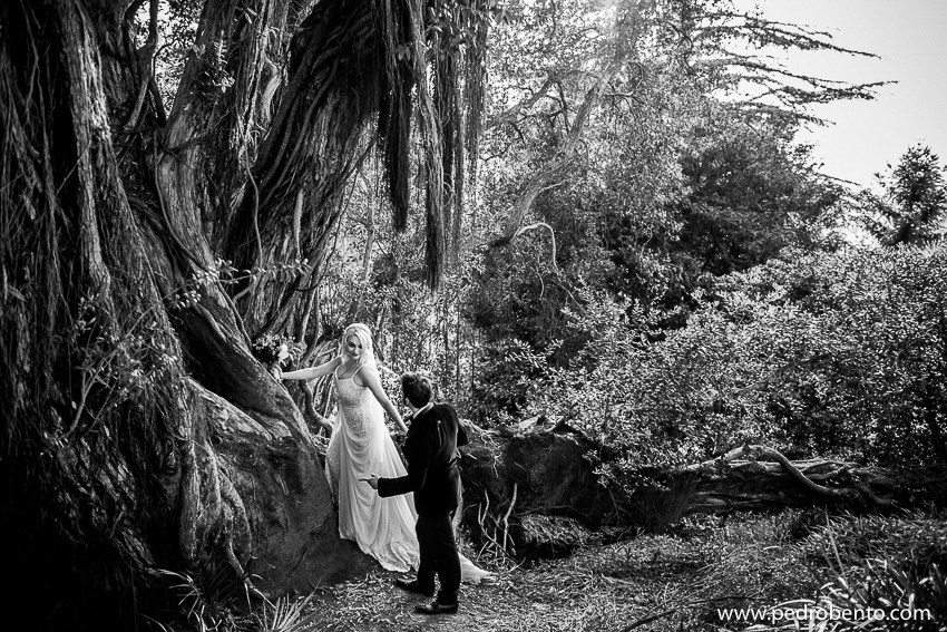 " Sounds Of Enchantment”. Rui Mota Pinto Wedding Designer & Planner