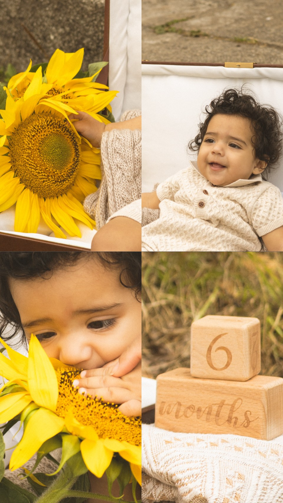 Zaiden’s 6 Months. Photographer Margarita Antonova in Naas, Co Kildare