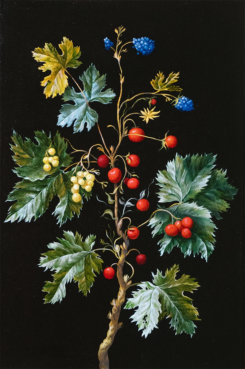 Red Currant. ELEN BEZHEN