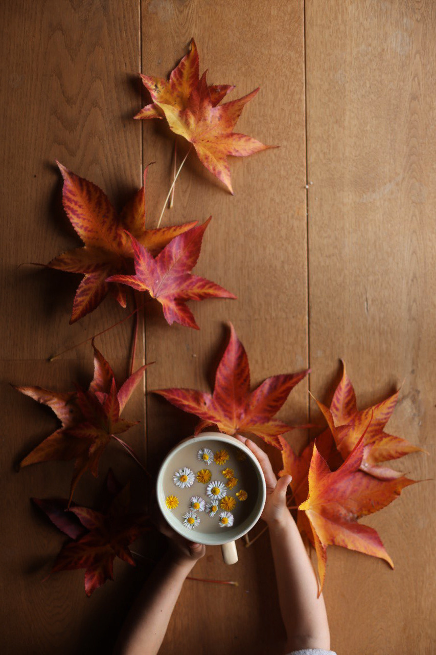 Yana Dylewski Photographe a Bourges