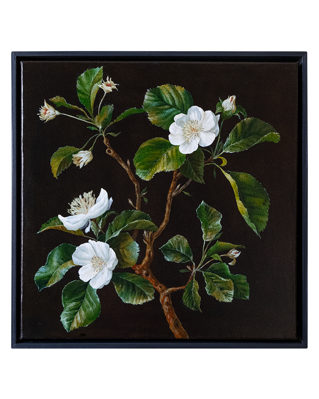 Botanical Etude No. 10. ELEN BEZHEN