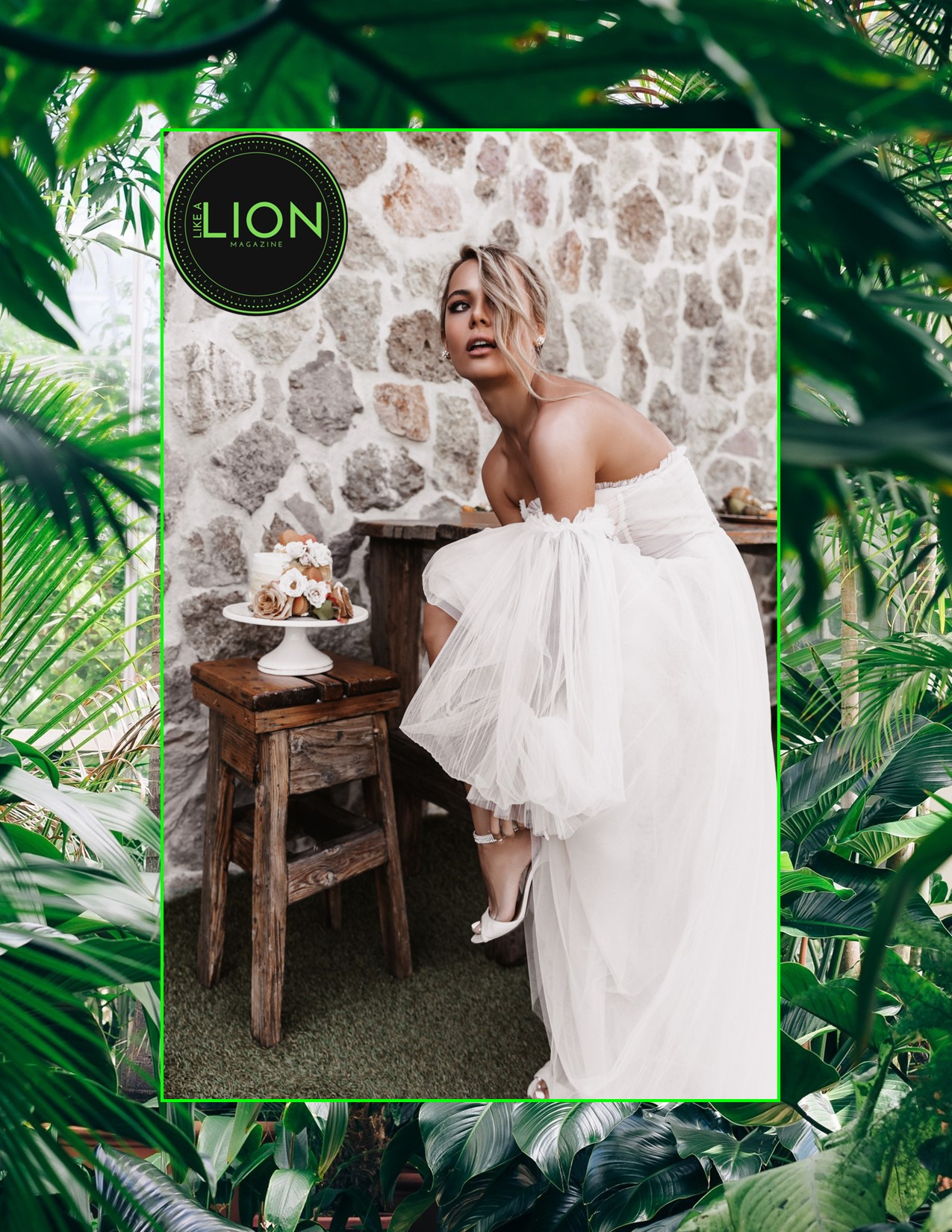 Like a Lion Magazine. Commercial retoucher