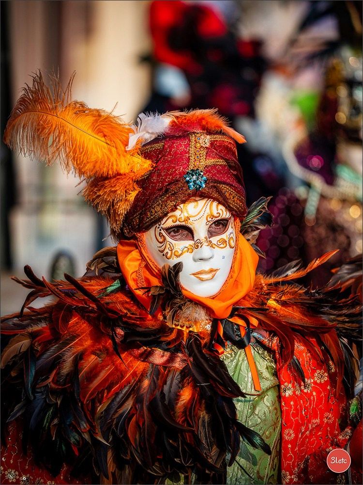 Carnaval vénitien de Rosheim 2026. Photographe à Strasbourg | Portraits, Studio, Enfants, Événements