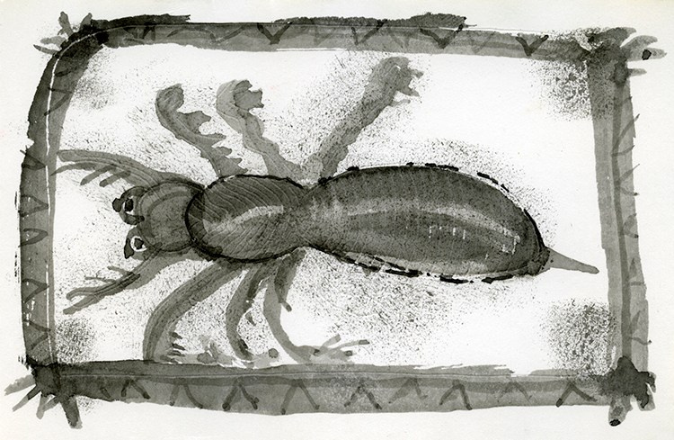 GRAPHICS. Www.sananaleskerov.com