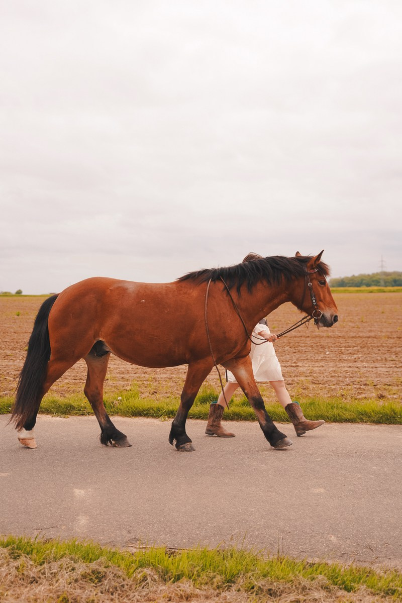 Kontakt. Elena Fotografie aus Rottenburg am Neckar