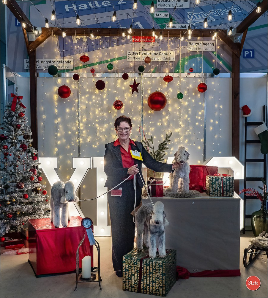 Dog Show Karlsruhe 🇩🇪  29-30/11/2025. Photographe à Strasbourg | Portraits, Studio, Enfants, Événements