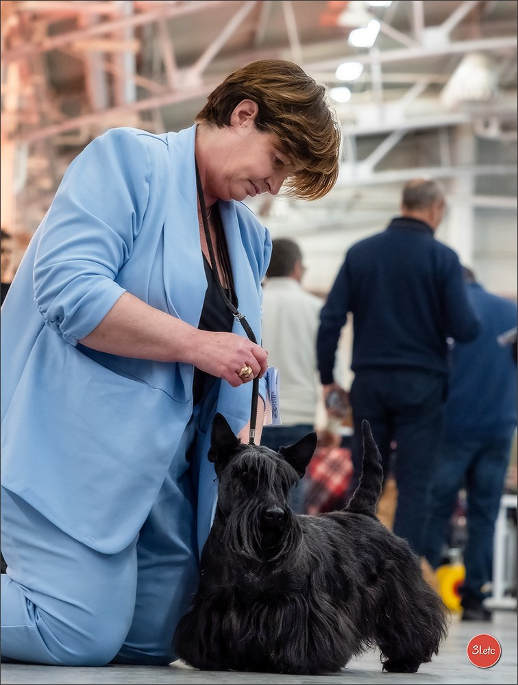 Exposition Canine à 🇫🇷 PARIS 12/01/2025. Photographe à Strasbourg | Portraits, Studio, Enfants, Événements