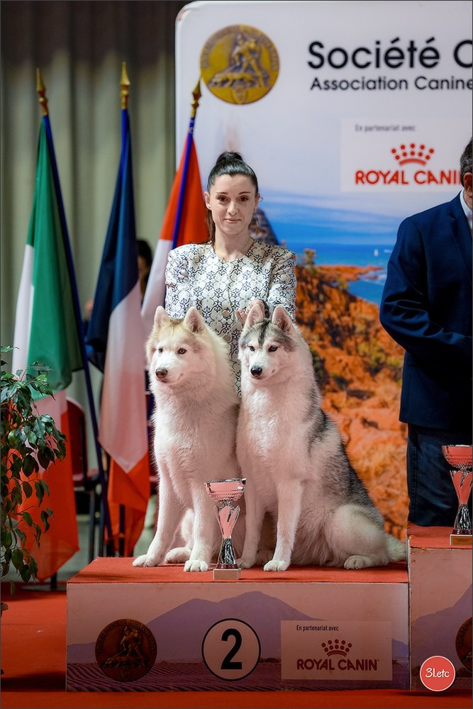 Expo canine 🇫🇷 Martigues 18-19/04/2026