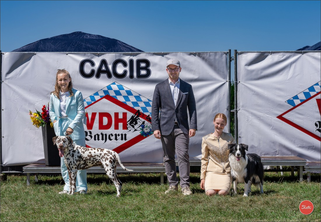 Dog Show - Hallbergmoos 🇩🇪 11-12/07/2026