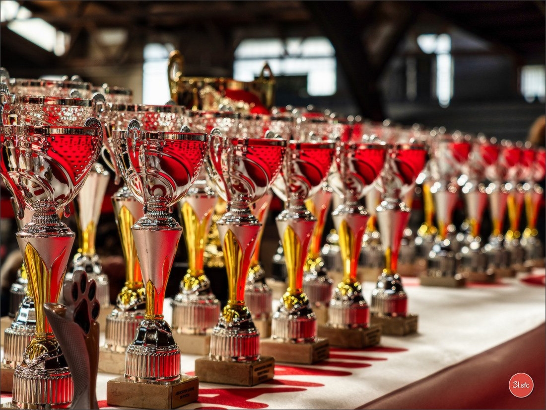 Expo canine 🇫🇷 Poitiers 18-19/10/2025. Photographe à Strasbourg | Portraits, Studio, Enfants, Événements