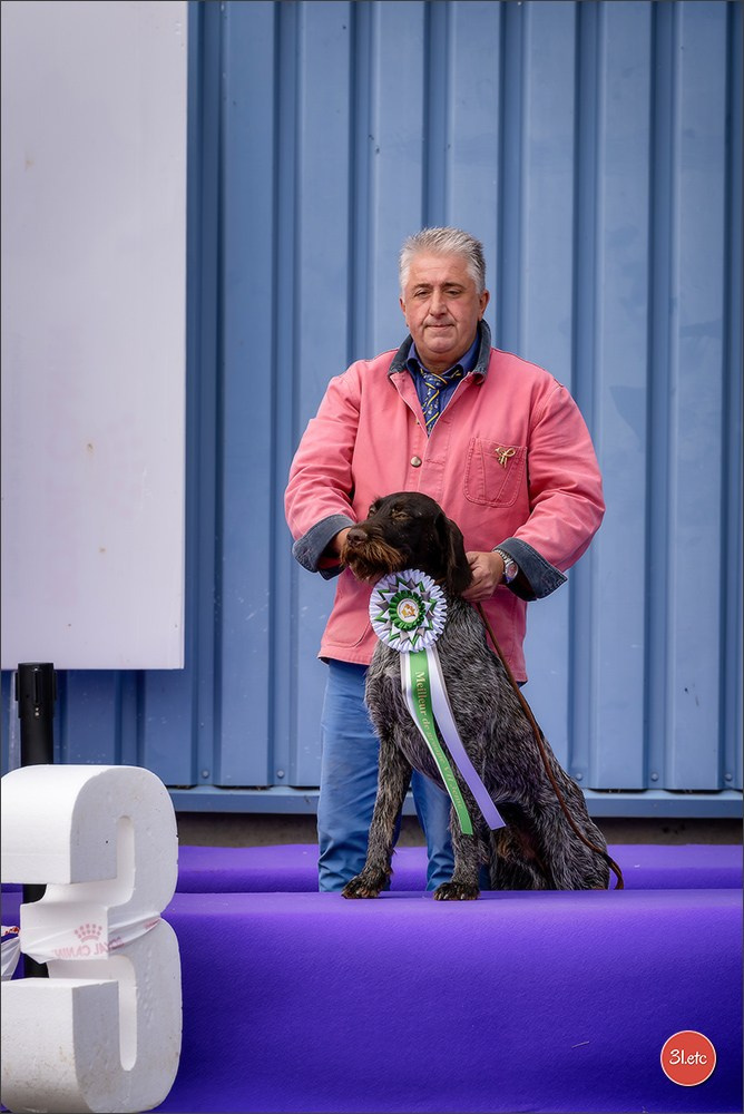 Expo canine 🇫🇷 Valence 02-03/05/2026
