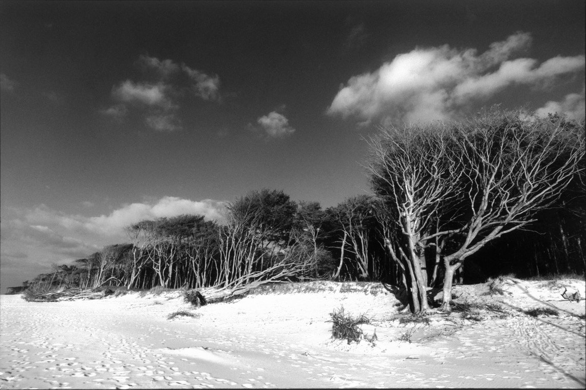 Sacra Natura. Katerina Kiper Photography