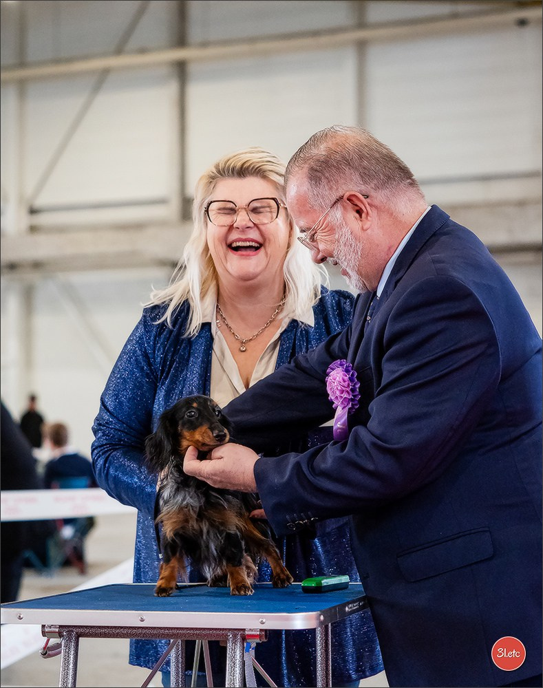 Expo canine  🇫🇷  Metz 08-09/11/2025. Photographe à Strasbourg | Portraits, Studio, Enfants, Événements