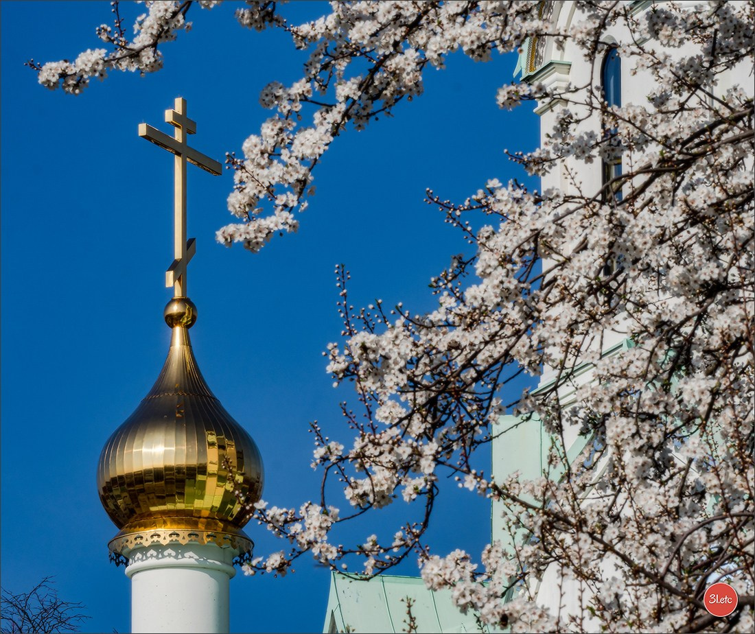 Spring came to Strasbourg in late February. Photographe à Strasbourg | Portraits, Studio, Enfants, Événements