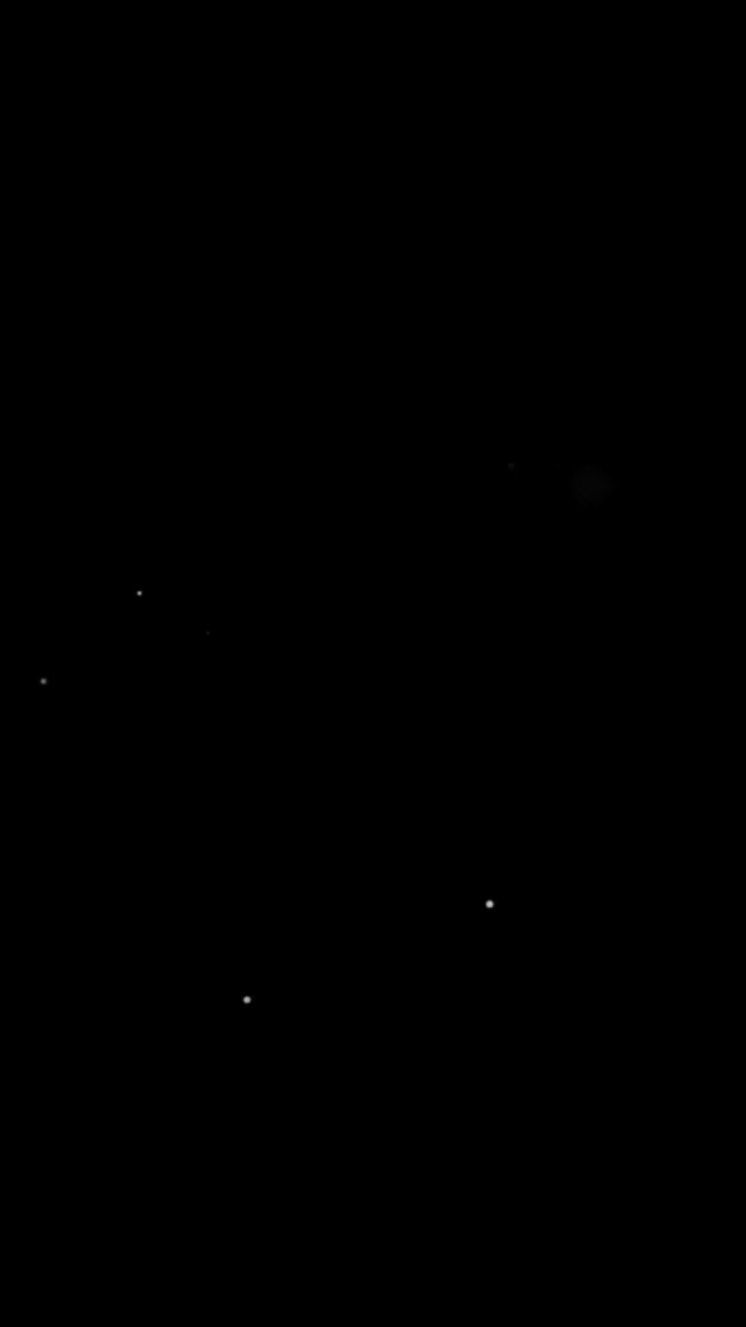 CONOCE LOS 5 EMBAJADORES. Lucyfera Studio