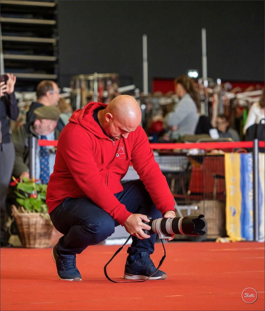 Exposition Canine à  Margny-lès-Compiègne 14-15/09/2024. Photographe à Strasbourg | Portraits, Studio, Enfants, Événements