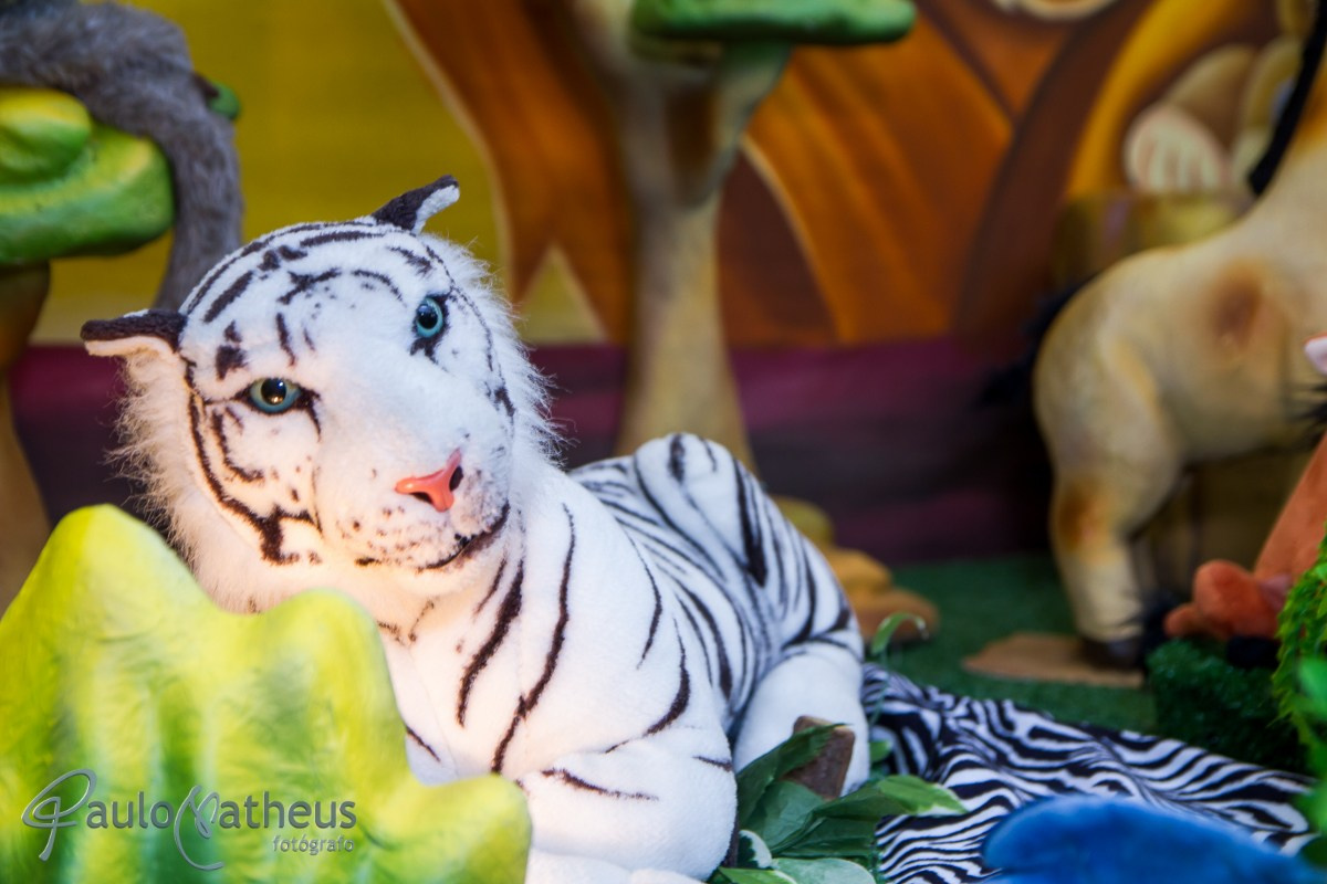 Fotografia de Festa Infantil. Fotógrafo Social e Corporativo em São Paulo/SP