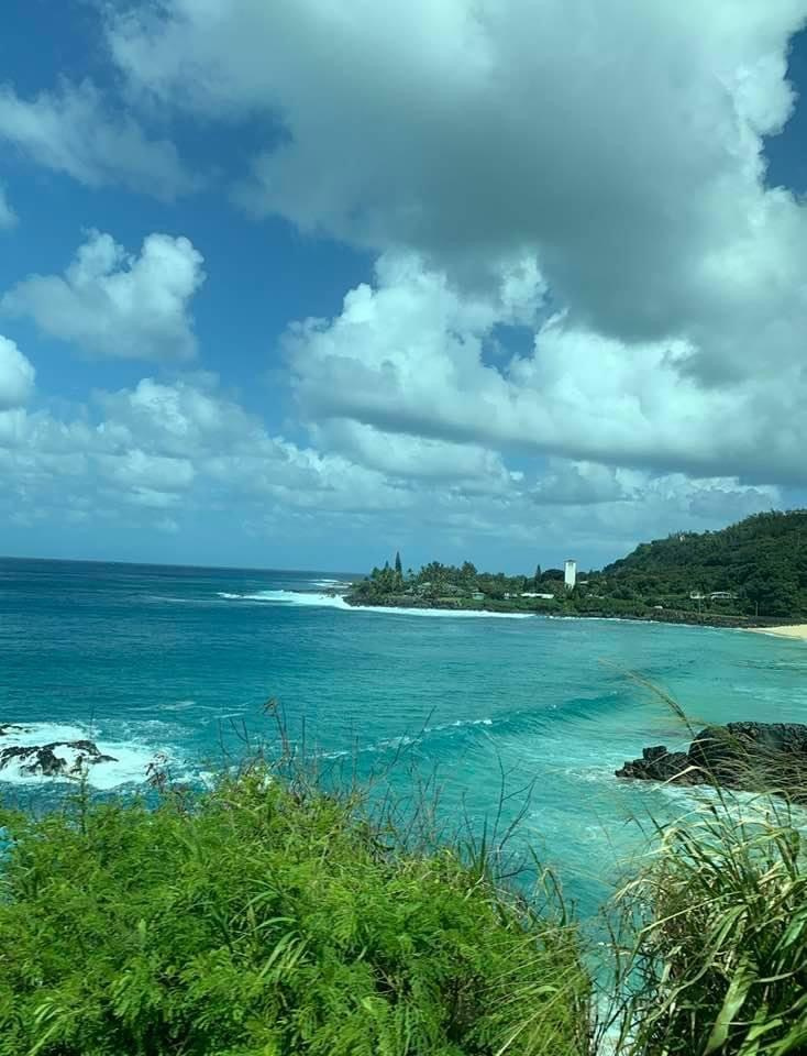 Lens Work From Field  1