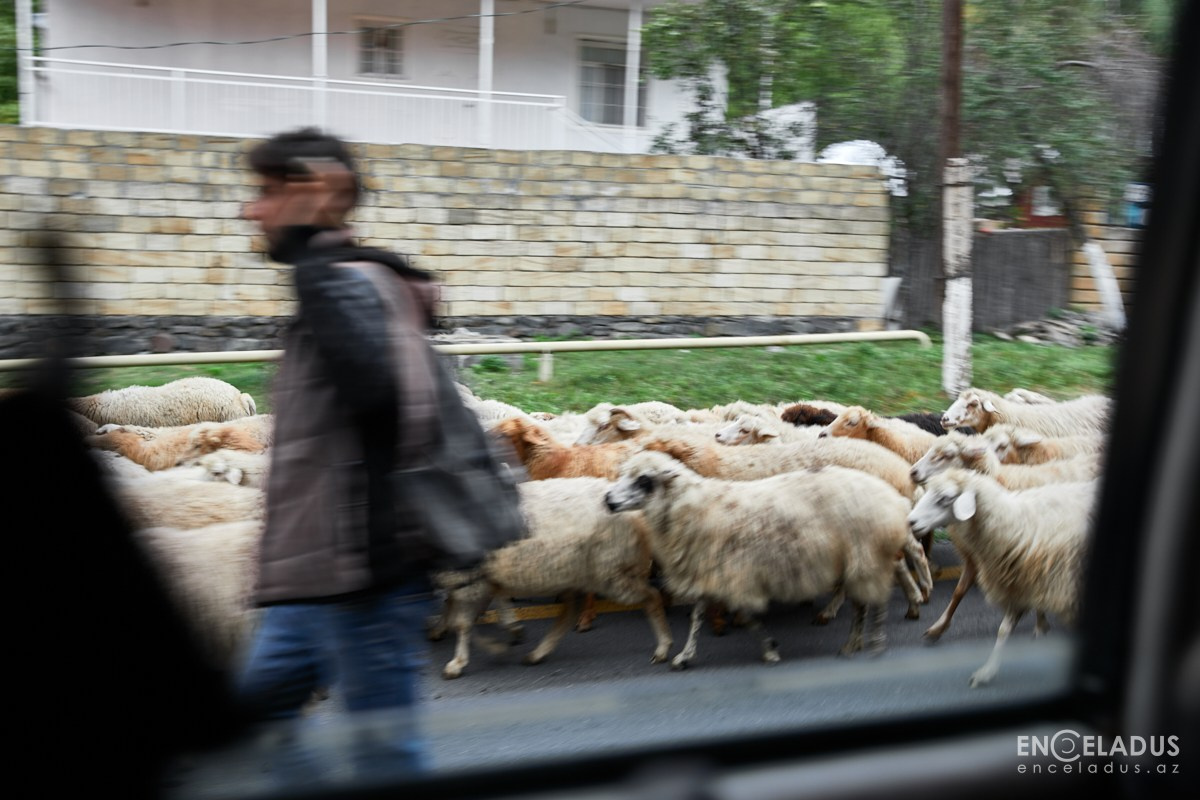 Team buildings. Photographer in Baku Kamran Enceladus