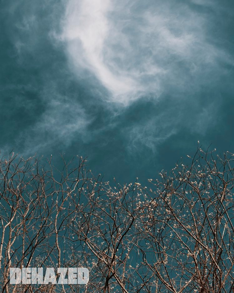 Publications. OLGA REPTIK